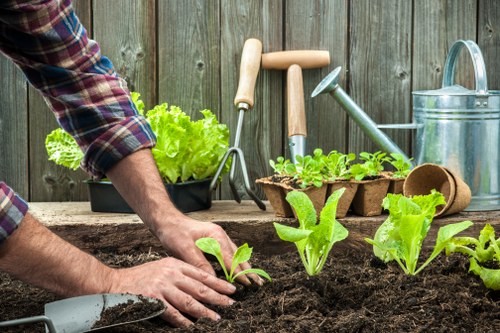 Photograph of a trimmed hedge along a Blackwall street with a gardener preparing tools